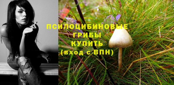 дурь Балахна